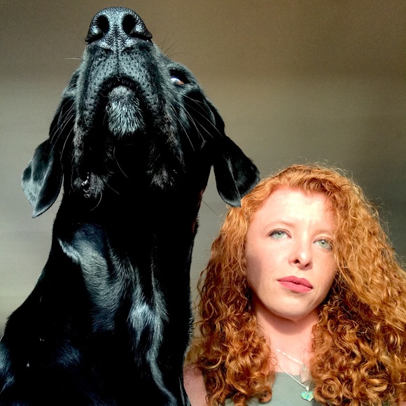 Meet your Posher, Posh - Picture 1 of 1